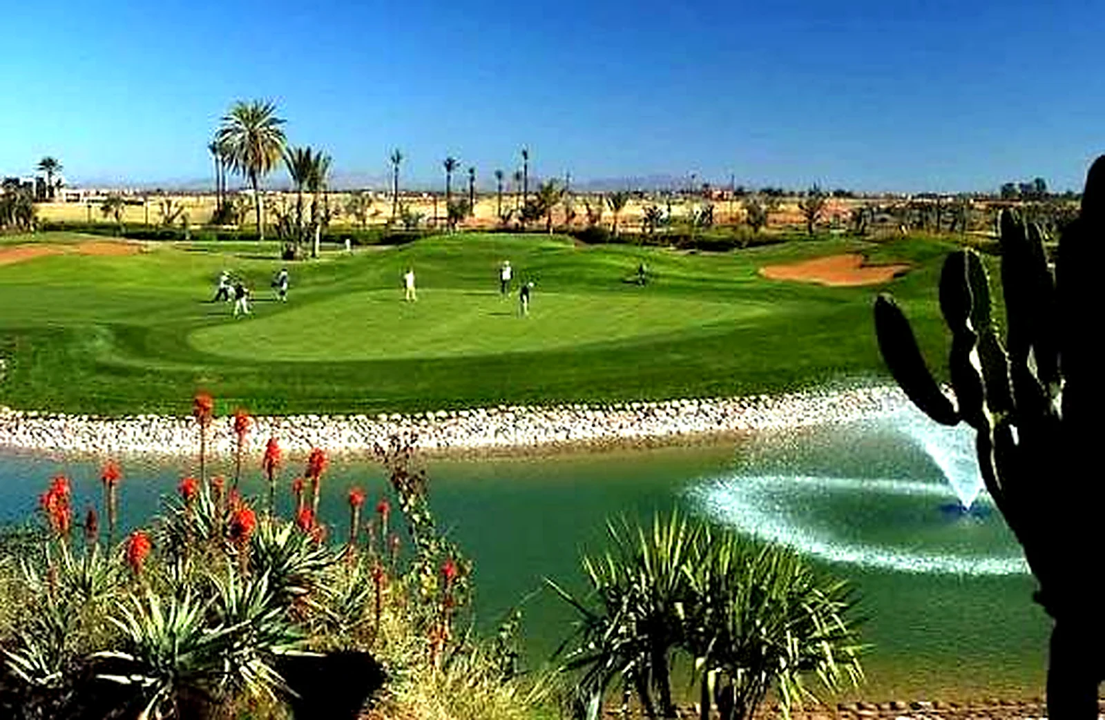 Golf Amelkis Marrakech – photo 2