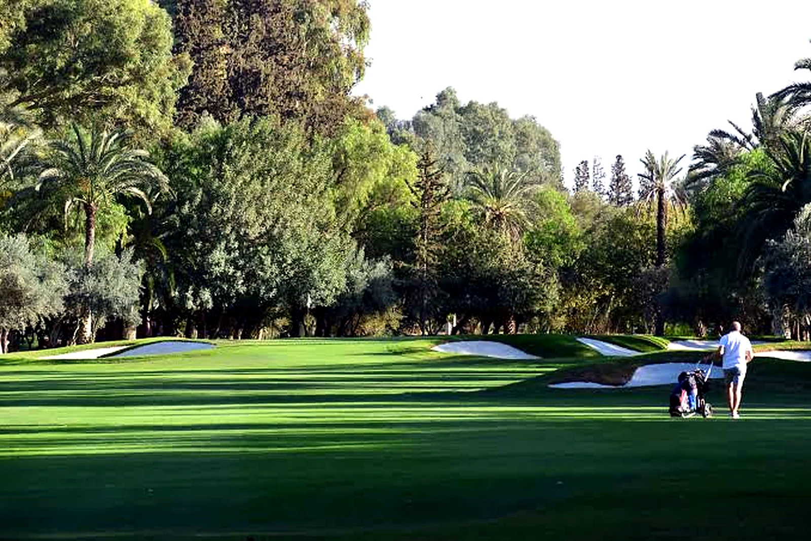 Royal Golf Marrakech – photo 5